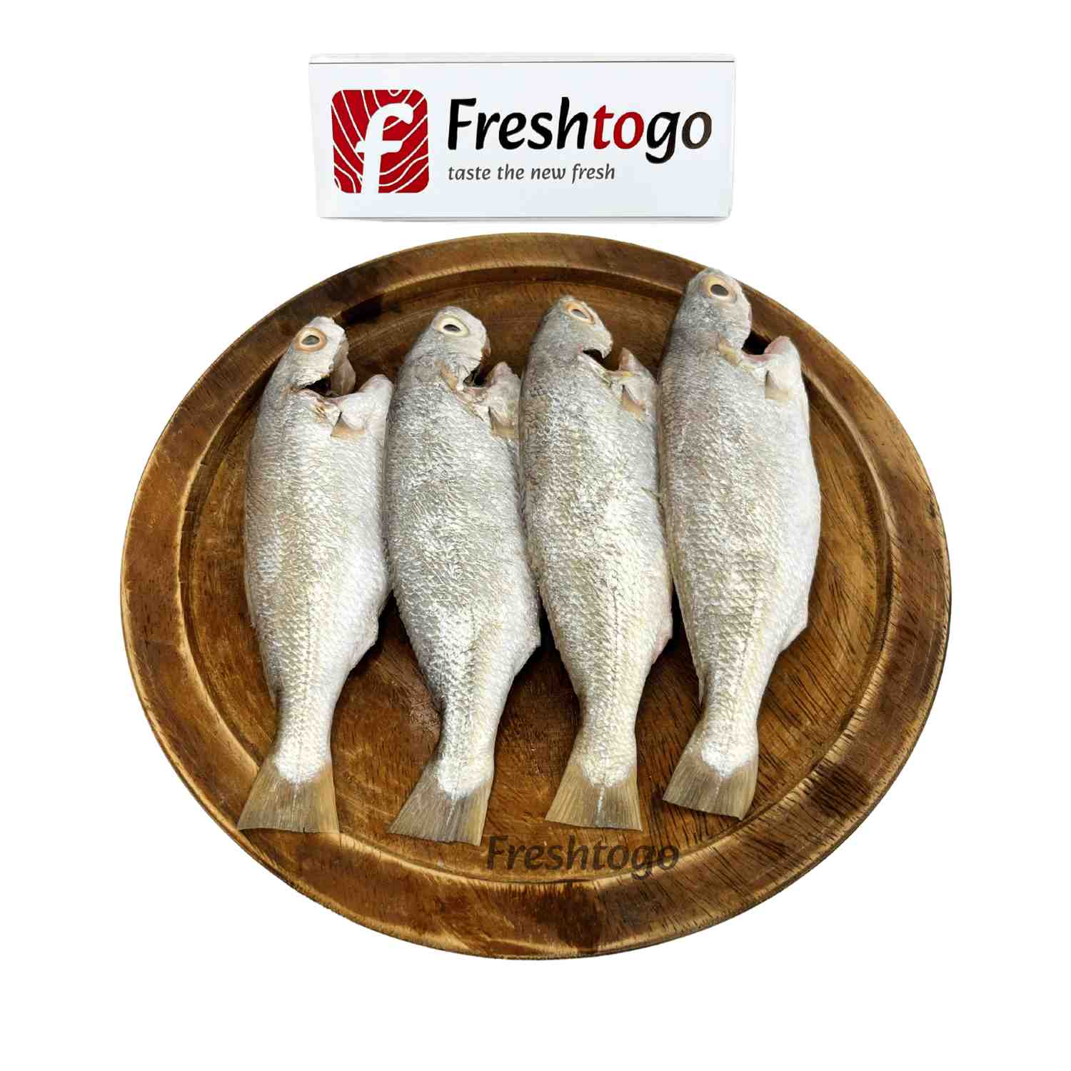 Bhola Fish - Small Size, Whole, Cleaned